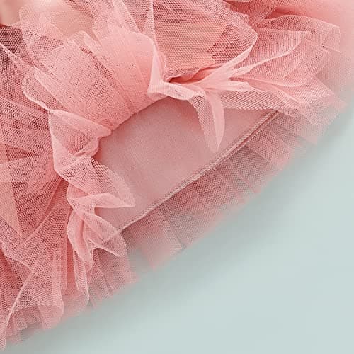 Biayxms Baby Girl First Birthday Outfit with Tutu Skirt and Headband