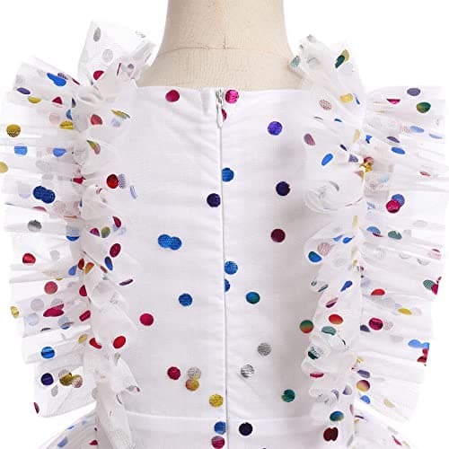 Princess Birthday Dress for Girls Ages 3-10: Confetti Ruffle Sleeve Outfit