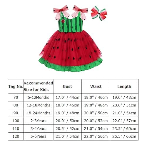 Mouse Birthday Princess Costume for Toddler Kid Girl