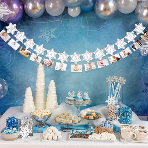 Onsembled DOMOO OF DREAMS Silver Winter Snowflake Photo Banner 12 Month First Birthday Decorations