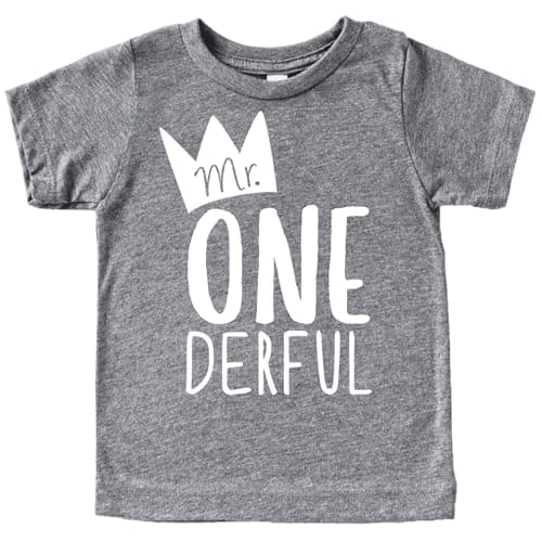 Olive Loves Apple Baseball Tee Shirt for Boys 1st Birthday