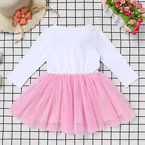 IMEKIS Baby Girl 1st 2nd 3rd Birthday Tutu Dress and Skirt Set