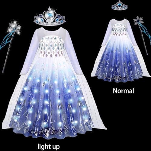 Snow Princess Dress Halloween Costume for Toddler Kids with Accessories