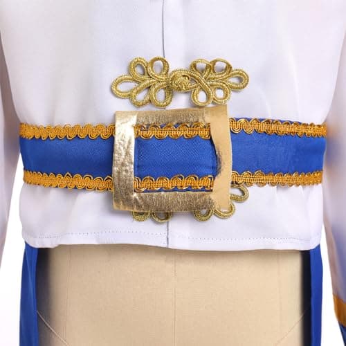 Boys Pirate Prince Charming Halloween Costume for Toddler Kids