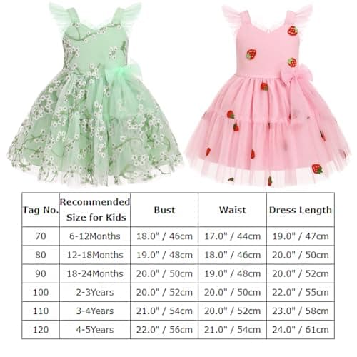 Toddler Girls Strawberry Floral Tulle Birthday Dress