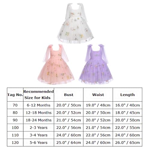 Flower Girls Butterfly Dress: Toddler Baby Embroidery Tulle Gown