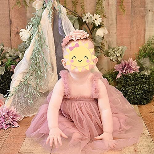 Toddler Baby Girl Princess Tutu Dress