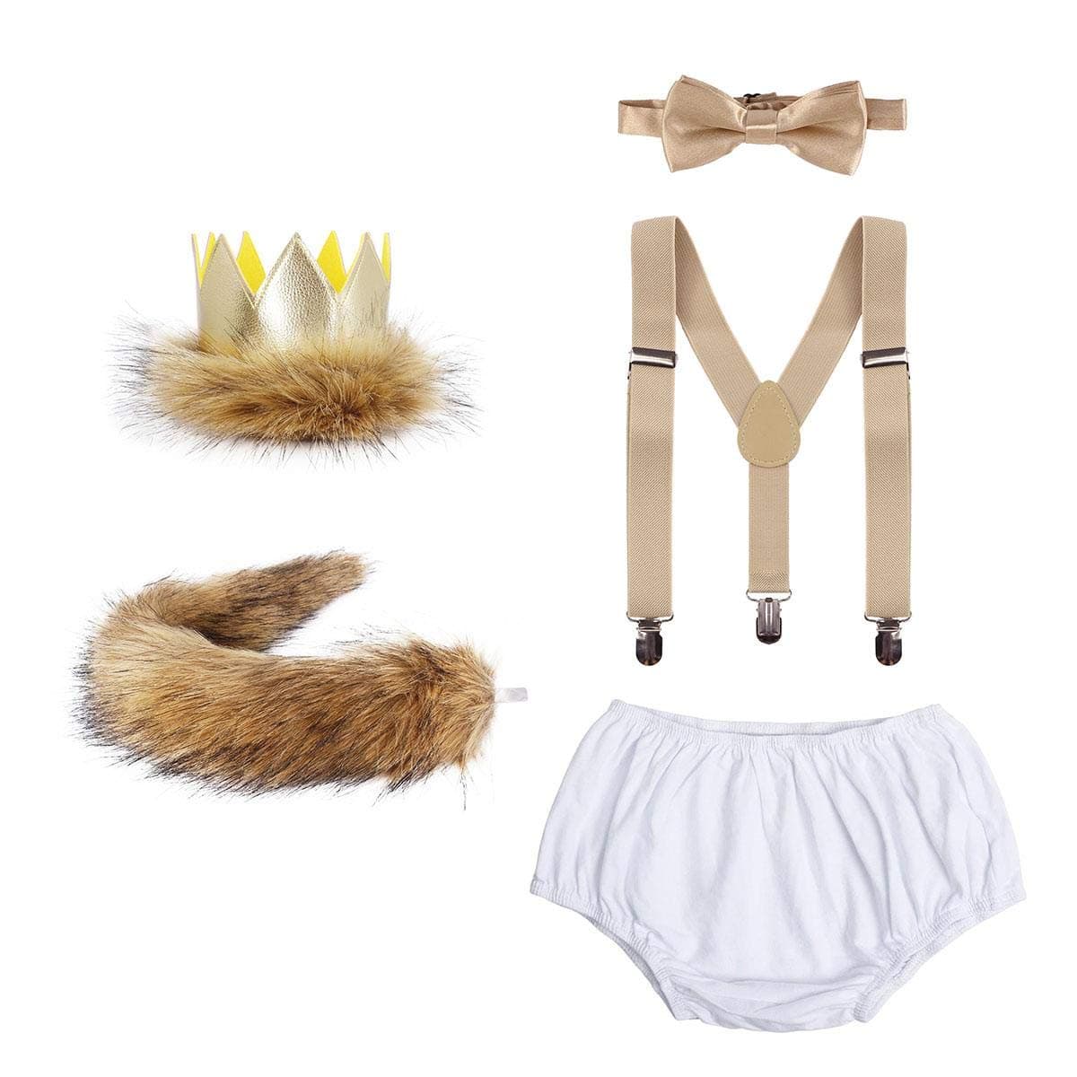 Wild ONE Lion Cake Smash Birthday Outfit for Baby Boys